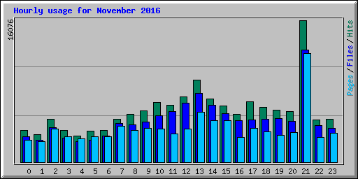 Hourly usage for November 2016