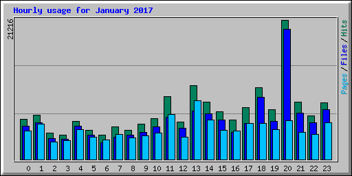 Hourly usage for January 2017