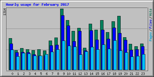 Hourly usage for February 2017
